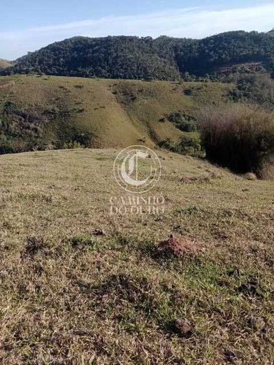 Terreno, 11 hectares - Foto 2