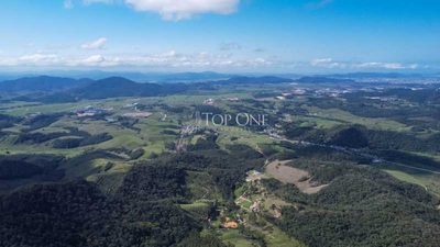Fazenda, 190 hectares - Foto 4
