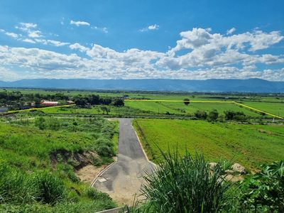 Terreno, 10 hectares - Foto 4