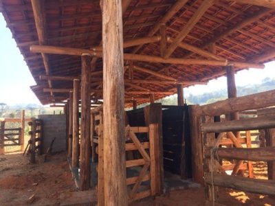 Fazenda, 169 hectares - Foto 5