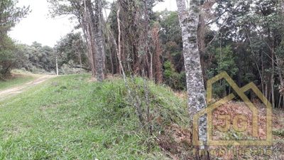 Terreno, 5200 m² - Foto 3