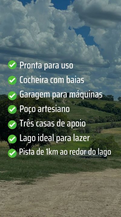 Fazenda, 95 hectares - Foto 4