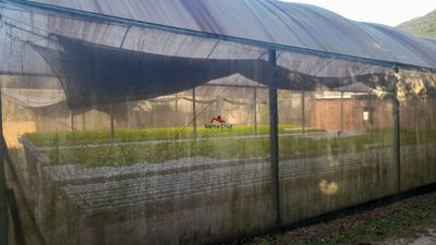 Terreno, 363 m² - Foto 2