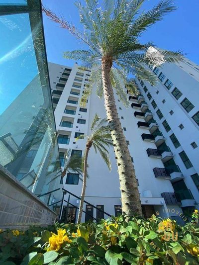 Apartamento, 3 quartos, 80 m² - Foto 1