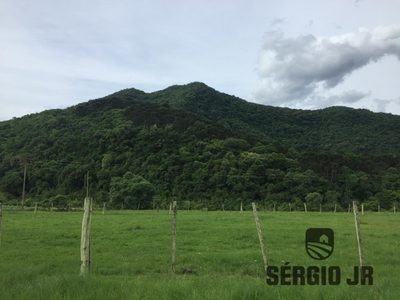 Loteamento e Condomínio, 19 hectares - Foto 2