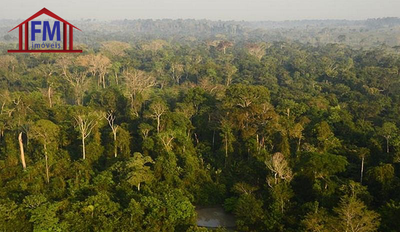 Fazenda - Foto 1