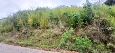 Terreno, 1000 m² - Foto 3