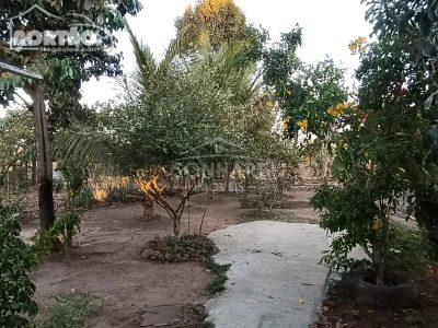 Casa, 3 quartos, 110 m² - Foto 2