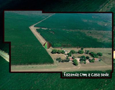 Terreno, 10000 m² - Foto 1