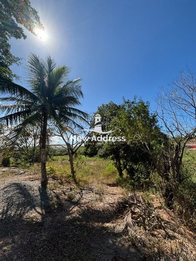 Terreno, 2500 m² - Foto 1