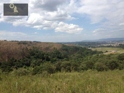 Terreno, 4 hectares - Foto 1