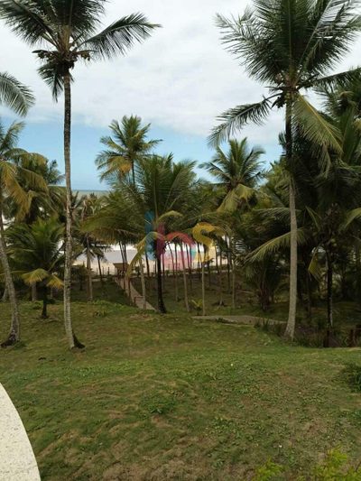 Casa, 3 quartos, 900 m² - Foto 1