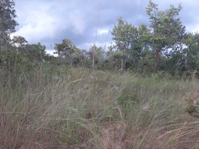 Fazenda, 3260 hectares - Foto 3