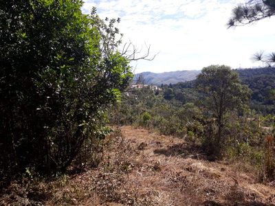 Loja-Salão, 20000 m² - Foto 5