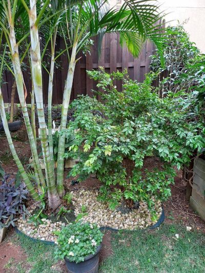 Terreno, 3 hectares - Foto 1