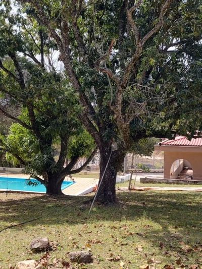 Chácara, 2 quartos, 2000 m² - Foto 5