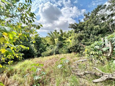 Terreno, 3600 m² - Foto 2