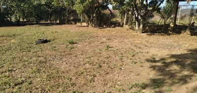 Terreno - Foto 4