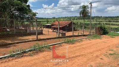 Terreno, 12 hectares - Foto 4