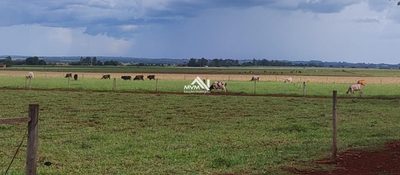 Chácara, 3 quartos, 9 hectares - Foto 1
