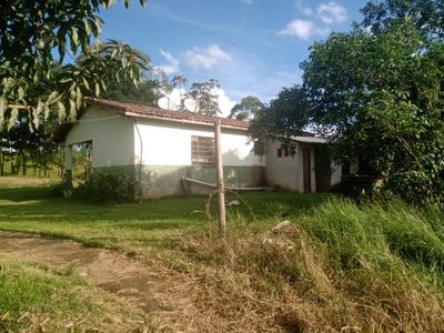 Sítio, 2 quartos, 4800 m² - Foto 1