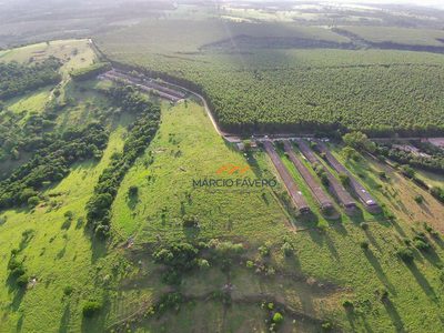 Sítio, 90 hectares - Foto 1