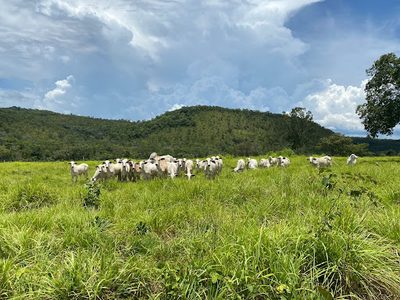 Fazenda, 39 m² - Foto 1