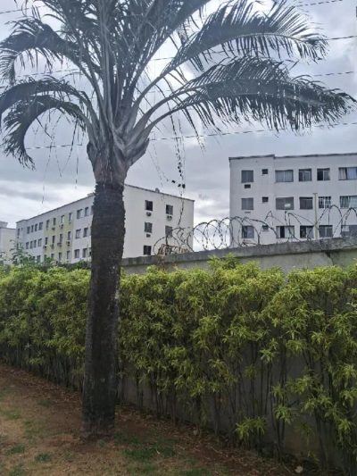 Apartamento, 2 quartos, 43 m² - Foto 1