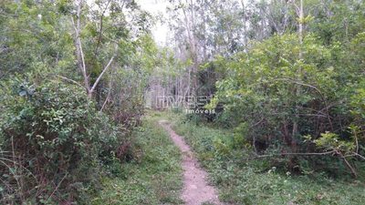 Chácara, 7 hectares - Foto 2