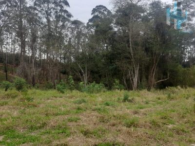Terreno, 2 hectares - Foto 2