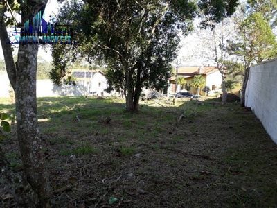 Terreno, 1240 m² - Foto 4
