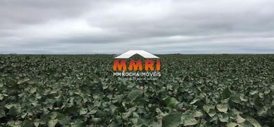 Fazenda, 2 hectares - Foto 1