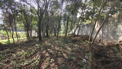 Terreno, 650 m² - Foto 3