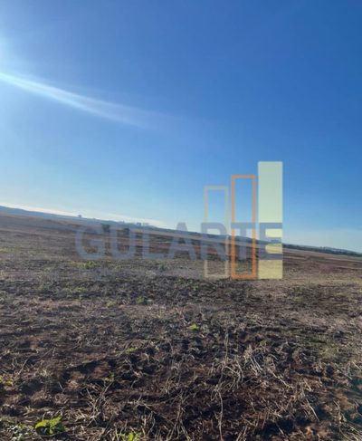 Chácara, 420 hectares - Foto 4