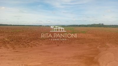 Sítio, 27 hectares - Foto 2