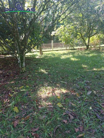 Terreno, 600 m² - Foto 4