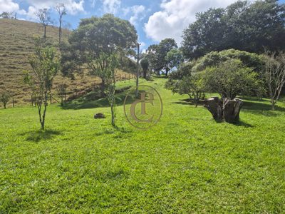 Sítio, 3 quartos, 150 m² - Foto 1