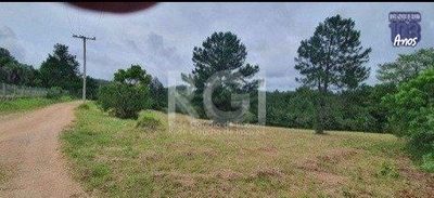 Terreno, 10000 m² - Foto 3