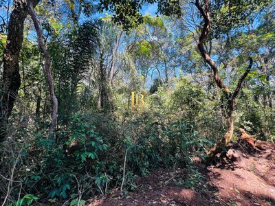 Terreno, 2 hectares - Foto 3