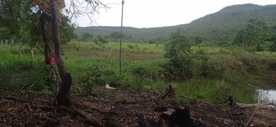 Fazenda, 673 hectares - Foto 4