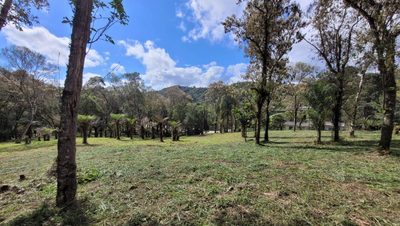 Terreno, 1080 m² - Foto 5