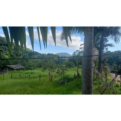 Sítio, 2 quartos, 2 hectares - Foto 2