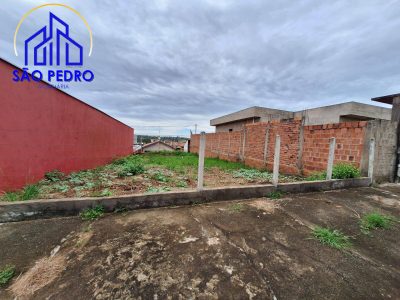 Terreno, 260 hectares - Foto 2