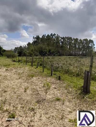 Chácara, 10000 m² - Foto 5