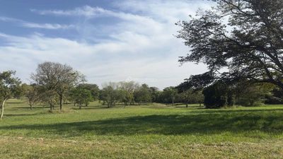 Terreno - Foto 4