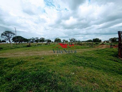 Sítio, 99 hectares - Foto 4