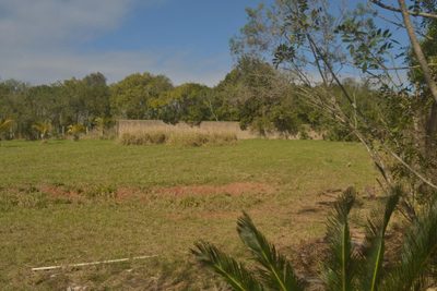 Terreno, 1607 m² - Foto 5