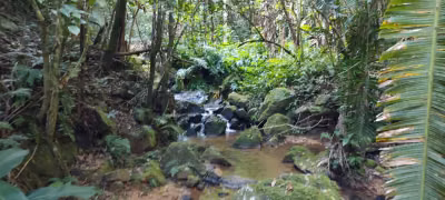 Fazenda, 18 hectares - Foto 1