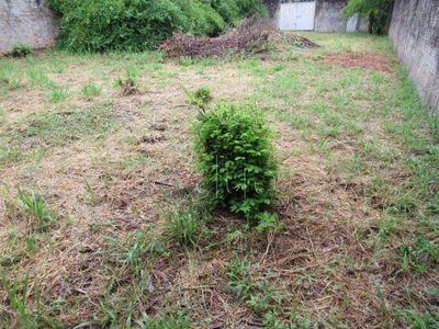 Terreno, 420 m² - Foto 5