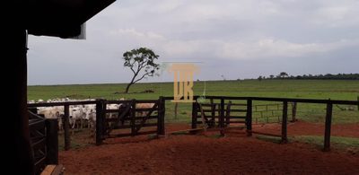 Fazenda, 1122 m² - Foto 5
